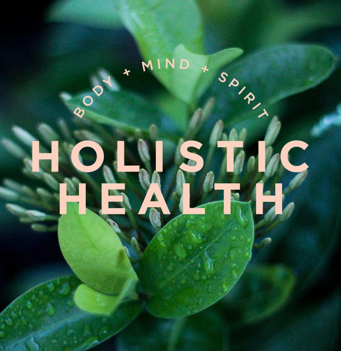 holistic health training