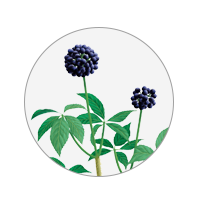 simple-herb-icon